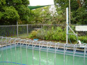 Swimming pool at the dropin centre