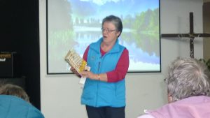 Anne telling story of Noah and his Ark
