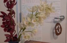 A photo of orchids in a vase in front of some study bibles and some handwritten notes on the wall