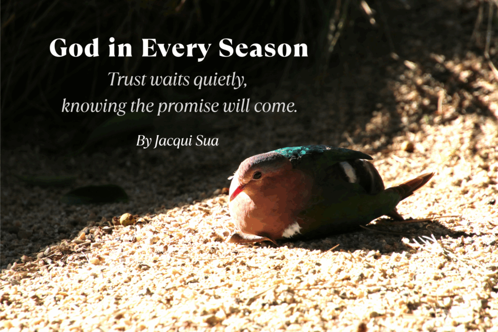 Trust waits quietly, knowing the promise will come. (2)