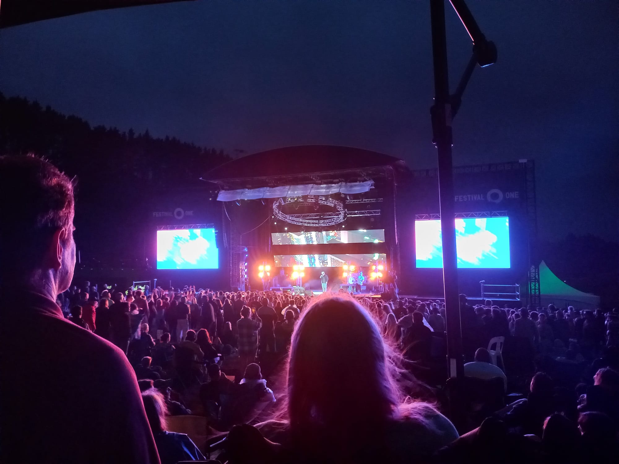 Festival One night-time performance with purple lights and large crowds. The view is from an elevated platform for people with disabilities attending the festival